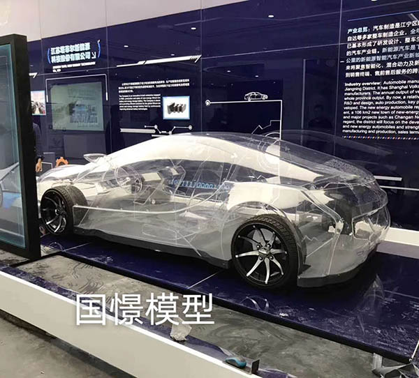怀宁县透明车模型